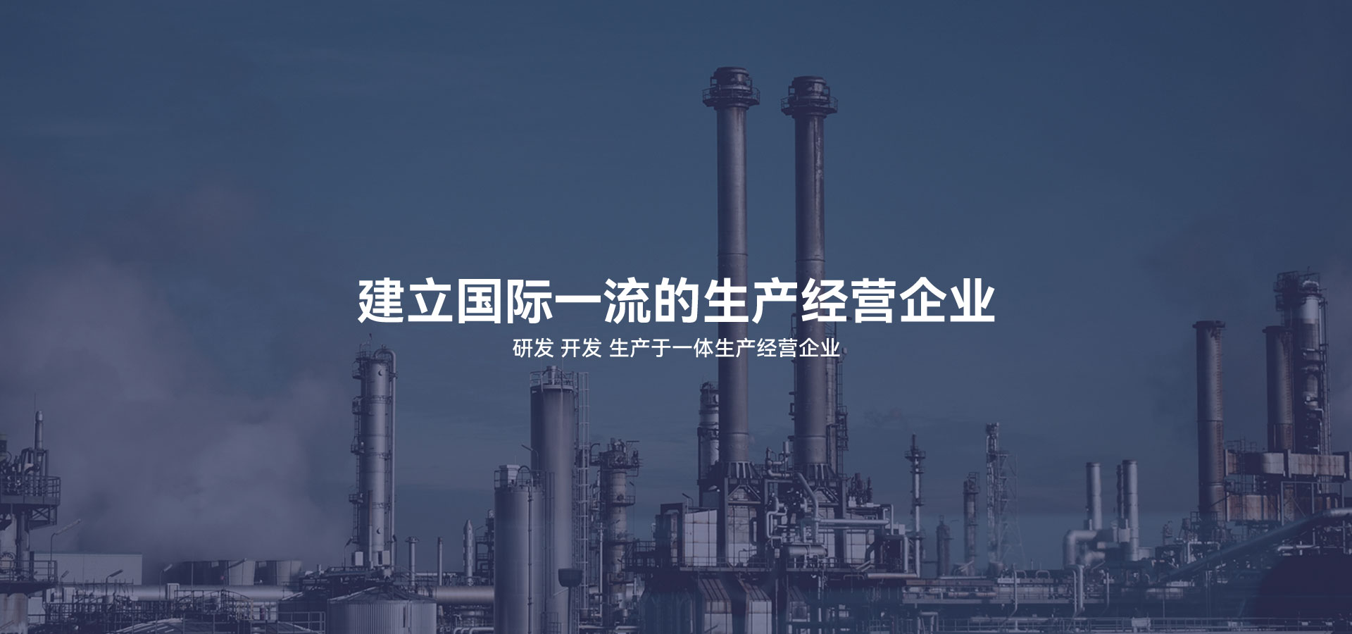 建立研發、開發、生產于一體的生產經營企業