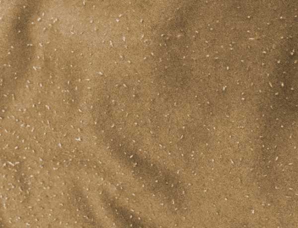 滌棉面料會起球嗎,它的優缺點是什么?